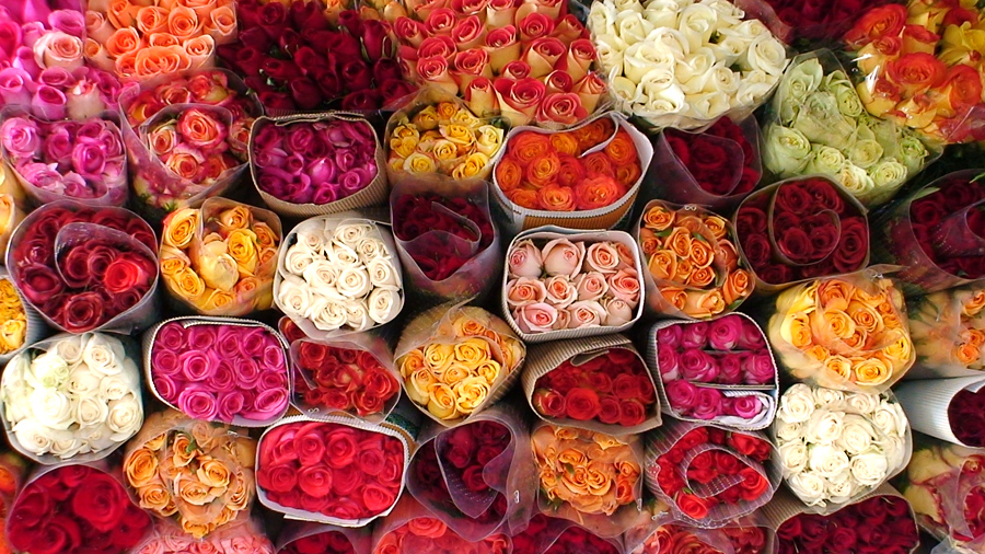 Цветы оптом в Бишкеке